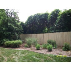Manchester Style Spruce Stockade - 6ft