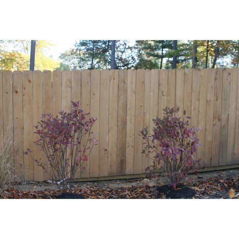 Lancaster Style 6' Tall Fence w/ 1x6 DE Pickets Lancaster Style 6' Tall Fence w/ 1x6 DE Pickets