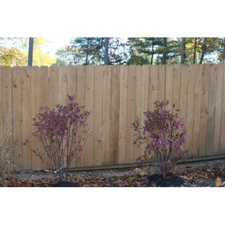 Lancaster Style 6' Tall Fence w/ 1x6 DE Pickets