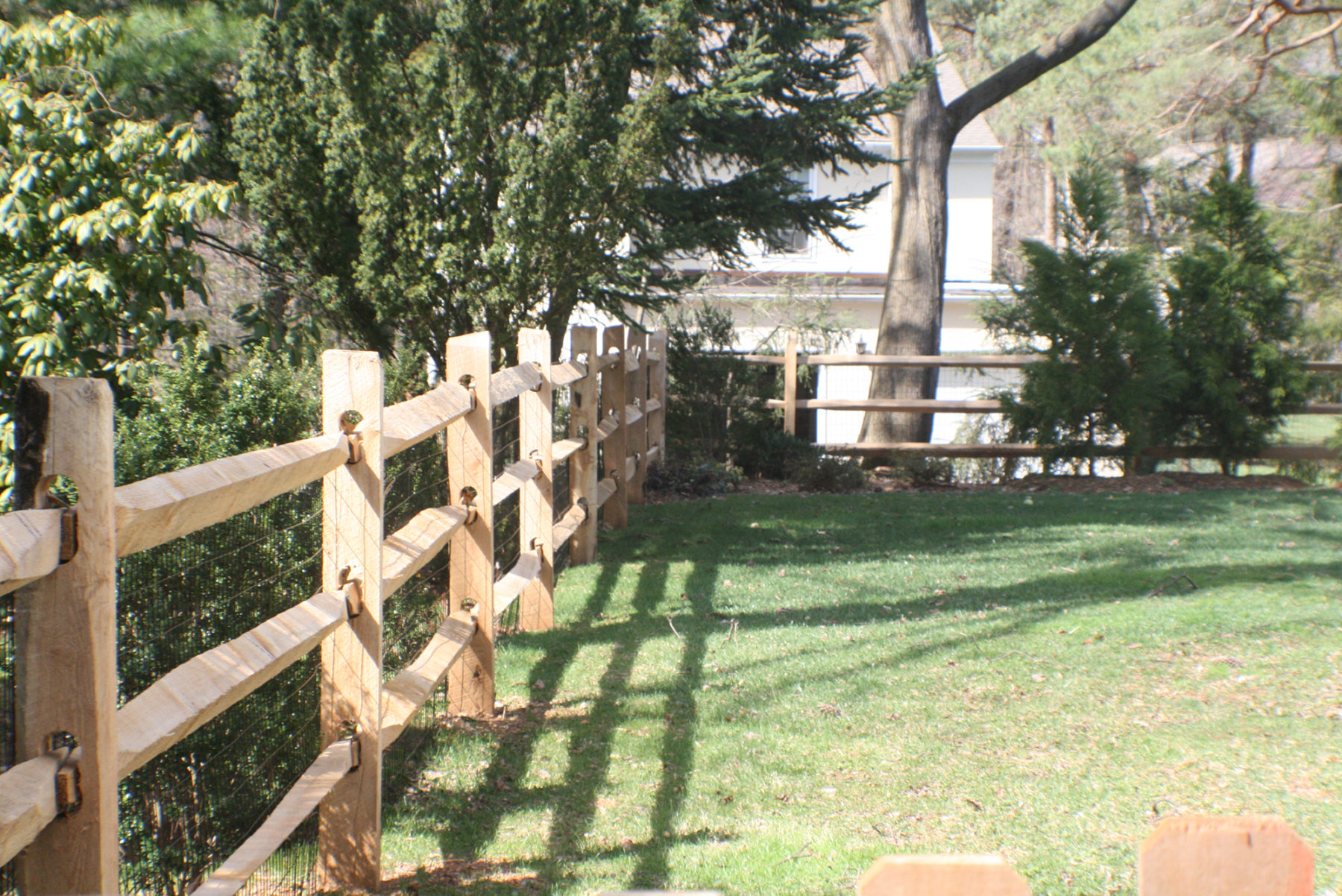 Split Rail Picture